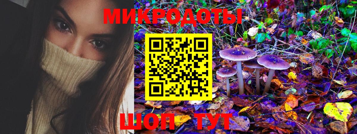 Галлюциногенные грибы мицелий Знаменск